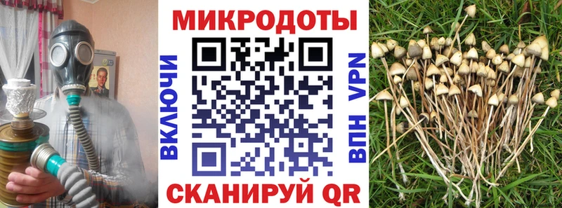 это какой сайт  Кимры  Псилоцибиновые грибы MAGIC MUSHROOMS 